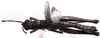 CollectionObject 1502819; 5c1fd3ce-3772-42c9-bdb0-9b6e749abf34: Image Carbonell, C.S. male, dorsal view. (CollectionObject).