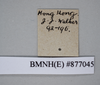 CollectionObject 1573264; d64948f0-cde7-470b-a054-2f4fa346a7a1: Copyright NHM, London. Nymph: data labels, non-type. (CollectionObject).