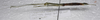 CollectionObject 1584638; 6ee1049d-c914-4198-8ba4-4b054f030ca4: (CollectionObject).