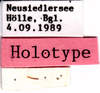 CollectionObject 1477242; c376b2aa-1eb9-4a02-868c-a2d40c3b3cc6: labels (holotype of Tetrix austriaca). (CollectionObject).