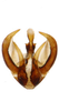 Aedeagus, ventral view: Aedeagus in caudal aspect. Mexico, Durango, rt. 45 km 121, INHS. (Observation).