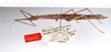 CollectionObject 1560433; 8f504723-d8f8-4d37-b855-5841d775d064: copyright ZMUH, Hamburg. female, lateral view of synonym Parapygirhynchus catenatus (lectotype). (CollectionObject).