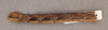 CollectionObject 1562144; ae693930-b631-4500-b1c0-e462940c3224: copyright NHRS, Stockholm. female: abdomen, lateral view (holotype). (CollectionObject).