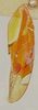 Forewing: Male holotype [USNM]: forewing. (Observation).