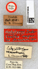 CollectionObject 1477719; d635a053-3ca4-4562-a391-8c91735773a3: labels (holotype). (CollectionObject).