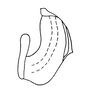 Aedeagus, lateral view: !! display not done !! on Paramesus major Haupt, 1927: (Observation).
