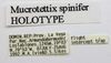 CollectionObject 1523455; 2f188b94-f16a-4d4e-8a58-fa3be898a703: labels (holotype). (CollectionObject).