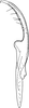 Stylus: !! display not done !! on Eurhadina (Eurhadina) loewii (Then, 1886): Stylus. (Observation).