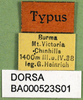 labels (holotype). Depicts CollectionObject 1501228; 49e1007a-fb9e-48a3-aa61-2db5eb66c3b4, a CollectionObject.