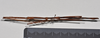 CollectionObject 1558564; 3ae685c8-f1c6-4bd0-85f7-d0b8fa72a781: copyright NTUC. male, dorsal view (syntype). (CollectionObject).;CollectionObject 1558565; b09dd22e-7f33-4771-b1d9-24d893a97422: copyright NTUC. male, dorsal view (syntype). (CollectionObject).