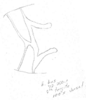 Head: Head dorsum. (Observation).