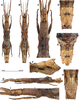 CollectionObject 1583093; b3ce0bbe-379d-4428-a8d3-c18d5c7b5f08: copyright RBINS, Brussels. female (paratype). A, habitus, dorsal view. B, habitus, ventral view. C, head and thorax, dorsal view. D, terminalia, dorsal view. E, Terminalia anterodorsal view. F, terminalia, lateral view. G, habitus lateral view. H, terminalia, ventral view. I, head and thorax, lateral view. (CollectionObject).;CollectionObject 1583094; 3cd632f5-8815-4a46-adaf-78d9583c6c90: copyright RBINS, Brussels. female (paratype). A, habitus, dorsal view. B, habitus, ventral view. C, head and thorax, dorsal view. D, terminalia, dorsal view. E, Terminalia anterodorsal view. F, terminalia, lateral view. G, habitus lateral view. H, terminalia, ventral view. I, head and thorax, lateral view. (CollectionObject).