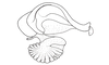Costalimacris neotropica Carbonell & Campos Seabra, 1988: Fig. 5. endophallus, lateral view. (Otu).