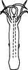 Aedeagus, ventral view on Empoa (Empoa) gillettei Van Duzee, 1917: Aedeagus, ventral view. (Observation).