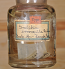CollectionObject 1558078; 74e9ed51-31d7-4577-89c7-f57374ac2daf: copyright ZMHB, Berlin. female (holotype) [in alcohol]. (CollectionObject).