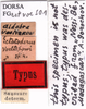 CollectionObject 1505323; 1533ef7f-b5a2-403a-bba1-aec86a637122: labels (holotype). (CollectionObject).