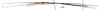 CollectionObject 1561645; cd3e9a7a-d6b3-452c-8054-6f19024be14d: copyright MNHN, Paris. male, lateral view (syntype). (CollectionObject).