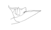 Leptysmina gracilis Bruner, 1911: Fig. 9B. male abdomen tip, lateral view. (Otu).