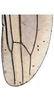 Hind wing: !! display not done !! on Neozygina Dietrich & Dmitriev, 2006: Hind wing (N. ceonothana Beamer). (Observation).