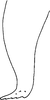 Anal tube processes on Distantasca tuberculata (Zhang & Liu, 2010): Anal tube process. (Observation).