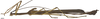 CollectionObject 1581366; d90378f3-9bb7-4e65-896b-e0d7e34de355: copyright INPA Manaus. male, lateral view (holotype). (CollectionObject).