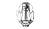 Punacris peruviana (Saussure, 1888): Fig. 122. male head, frontal view. (Otu).