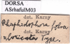 CollectionObject 1575884; ce38100d-0630-4fae-b0d7-b7cdccc5bd7c: labels. (CollectionObject).
