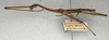 CollectionObject 1559955; NMW 478, 2db26099-3e5b-4fe3-84e1-6a96363f6374: copyright NMW, Vienna. male, lateral view (holotype). (CollectionObject).