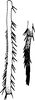 Other: !! display not done !! on Zygina (Zygina) suavis Rey, 1891: Tibia and tarsus (male). (Observation).