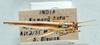 CollectionObject 1503849; 766b9625-2dfc-4c95-b7cc-d42e411e4e39: male, dorsal view (holotype). (CollectionObject).