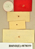 Epilampra bromeliacea Princis, 1965: Holotype, male, labels, reverse. BMNH(E)#878059. (Otu).