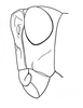 Basutacris inflatifrons Brown, 1962: Fig. 32. male head, lateral view. (Otu).