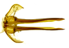 First valvula of ovipositor on Caetana pulchra Domahovski, Gonçalves, Takiya & Cavichioli, 2019: Female paratype [DZRJ]: first valvifers and first valvulae, ventral view. (Observation).