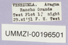 CollectionObject 1499689; f835e592-4f57-4113-87f6-ecb5a3593f73: labels. (CollectionObject).