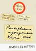 CollectionObject 1518464; 6fd3f0b0-9bae-4a4b-a8b8-022743e1e1e1: labels (holotype). (CollectionObject).