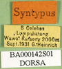 CollectionObject 1500290; 7973a650-4ffa-4fa3-a05b-19c88ad70360, DORSA BA000142S01: labels (syntype). (CollectionObject).