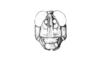 Comansacris hirsutus Ronderos & Cigliano, 1989: Fig. 18. male, head, frontal view. (Otu).