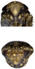 Head on Brevivalvala melanosticta Dai, Qu & Yang, 2016: Face. (Observation).