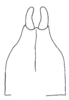 Callimenellus modestus Gorochov & Voltshenkova, 2005: Fig. 70. male subgenital plate. (Otu).