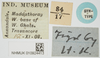 CollectionObject 1580141; ef0d3ee0-c225-4988-9e51-5be01cbd45a3, NHMUK10924413: labels (syntype). (CollectionObject).