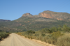 Phalces tuberculatus Brock, 2000: habitat (Wolfdrif, near Citrusdal, Western Cape Province). (Otu).
