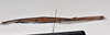 CollectionObject 1558576; NTUC 709 and barcoded specimens, 93d36653-c881-422a-9af7-b37747fc2d15: copyright NTUC. male, lateral view of Entoria miyakoensis (syntype). (CollectionObject).