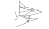 Saltonacris cymae Descamps, 1976: Fig. 296. female abdomen tip, lateral view. (Otu).