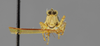 CollectionObject 1590307; 87486795-ffed-441f-9dc2-3dc17784ea85: male, frontal view (allotype). (CollectionObject).