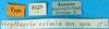 CollectionObject 1500191; c2234ee1-2e76-4c95-8297-d6a370aa8b5c: labels (syntype). (CollectionObject).