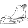 Anal tube processes on Shadelphax eforiae (Dlabola, 1961): Anal tube process. (Observation).