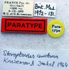 CollectionObject 1573773; 55f126a0-291c-438d-989b-767523cf93c2: labels (paratype of Steropleurus ceretanus). (CollectionObject).