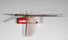 CollectionObject 1560295; 6cb97e6a-fed7-4bac-9efb-02c4e239714c: copyright MNHU, Berlin. male (holotype). (CollectionObject).