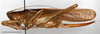 CollectionObject 1585132; 301fafda-b6b9-4a6a-a11b-bdef98767d29: female, lateral view (scale bar: 10 mm). (CollectionObject).
