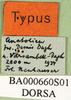 CollectionObject 1501309; 2f12c848-30c5-47d8-811c-583ccdba2e9f, DORSA BA000660S01: labels (holotype). (CollectionObject).